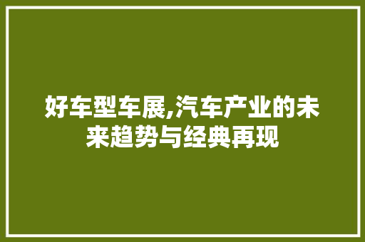 好车型车展,汽车产业的未来趋势与经典再现