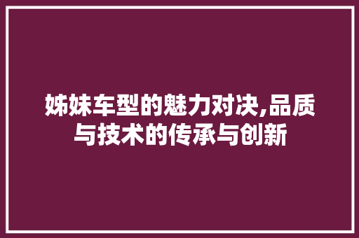 姊妹车型的魅力对决,品质与技术的传承与创新
