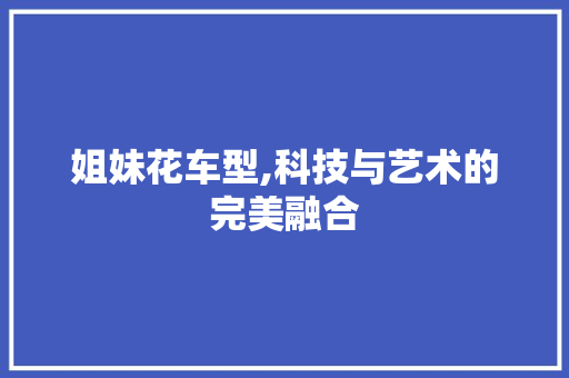 姐妹花车型,科技与艺术的完美融合
