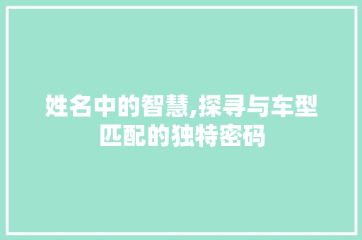 姓名中的智慧,探寻与车型匹配的独特密码