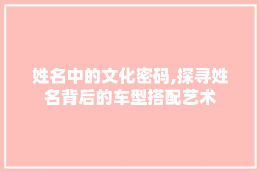 姓名中的文化密码,探寻姓名背后的车型搭配艺术