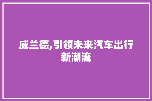 威兰德,引领未来汽车出行新潮流