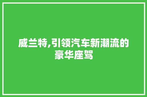 威兰特,引领汽车新潮流的豪华座驾
