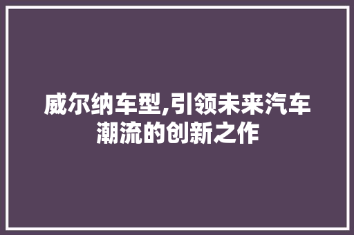 威尔纳车型,引领未来汽车潮流的创新之作