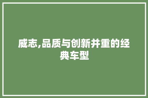 威志,品质与创新并重的经典车型