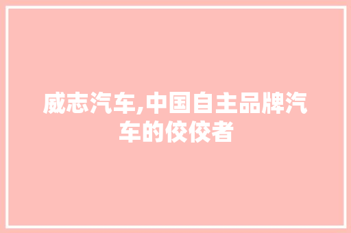 威志汽车,中国自主品牌汽车的佼佼者