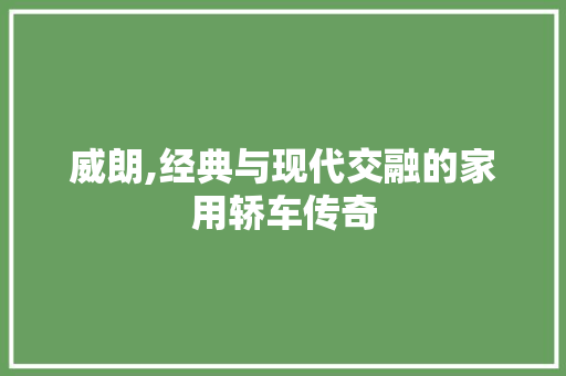 威朗,经典与现代交融的家用轿车传奇 车灯配件