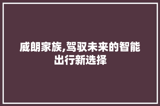 威朗家族,驾驭未来的智能出行新选择