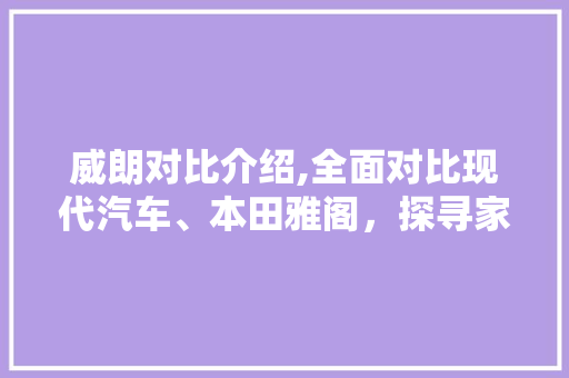 威朗对比介绍,全面对比现代汽车、本田雅阁，探寻家轿新选择