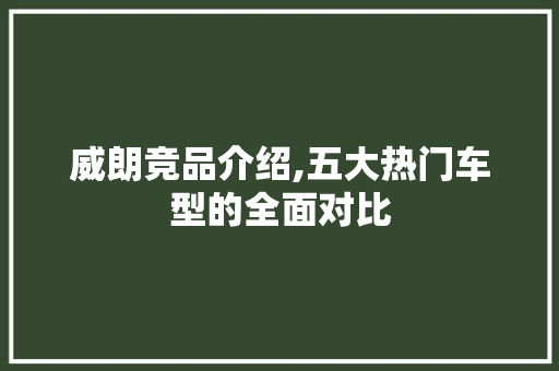 威朗竞品介绍,五大热门车型的全面对比