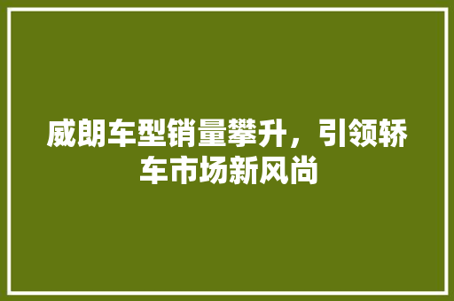 威朗车型销量攀升，引领轿车市场新风尚