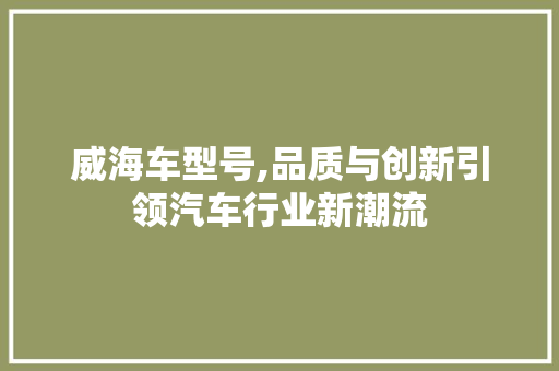 威海车型号,品质与创新引领汽车行业新潮流