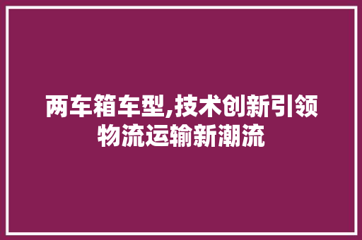 两车箱车型,技术创新引领物流运输新潮流