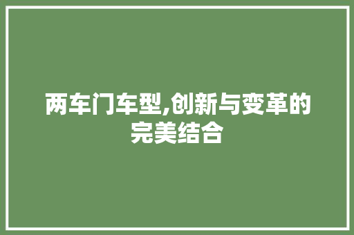 两车门车型,创新与变革的完美结合