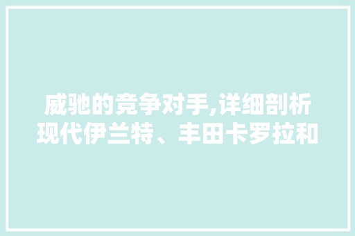 威驰的竞争对手,详细剖析现代伊兰特、丰田卡罗拉和本田飞度的市场表现