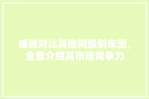 威驰对比其他同级别车型，全面介绍其市场竞争力