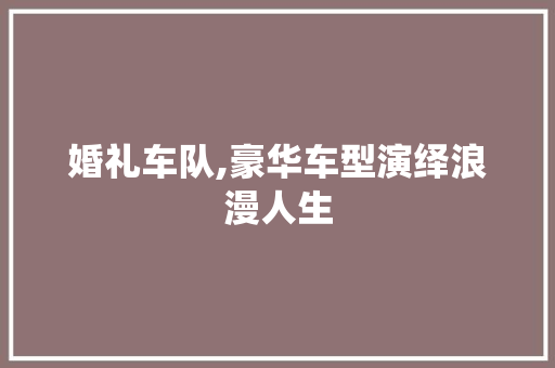 婚礼车队,豪华车型演绎浪漫人生