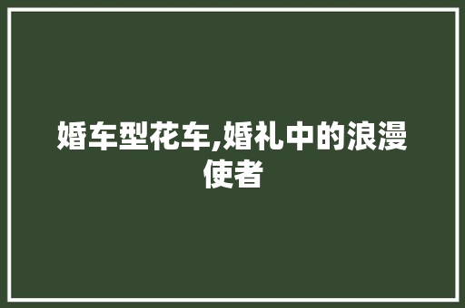 婚车型花车,婚礼中的浪漫使者