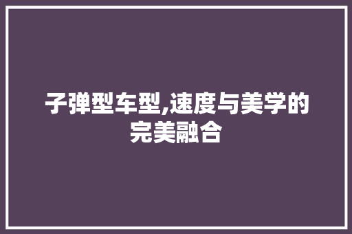 子弹型车型,速度与美学的完美融合