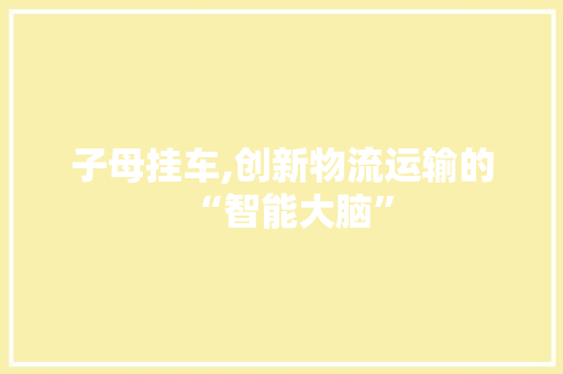 子母挂车,创新物流运输的“智能大脑”