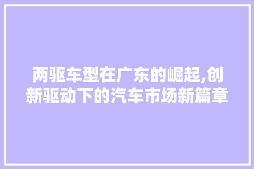 两驱车型在广东的崛起,创新驱动下的汽车市场新篇章