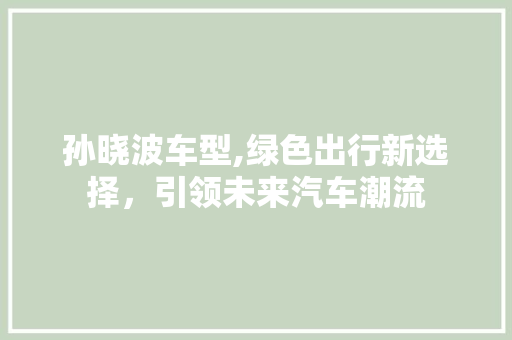 孙晓波车型,绿色出行新选择，引领未来汽车潮流