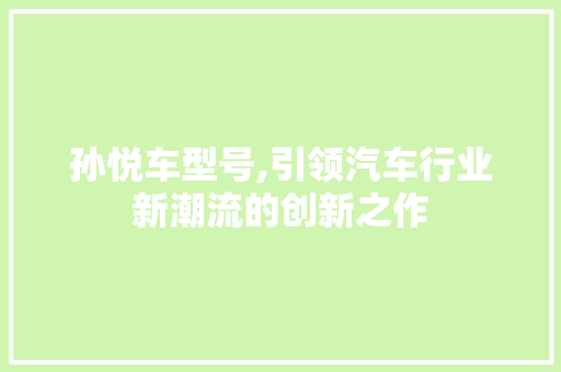 孙悦车型号,引领汽车行业新潮流的创新之作