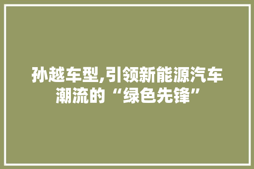 孙越车型,引领新能源汽车潮流的“绿色先锋”