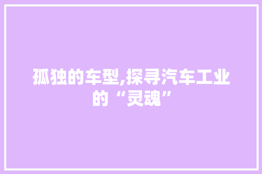 孤独的车型,探寻汽车工业的“灵魂”