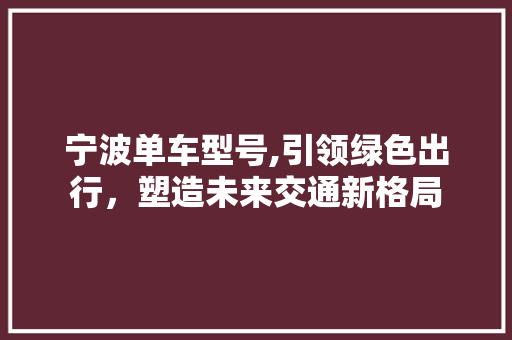 宁波单车型号,引领绿色出行，塑造未来交通新格局