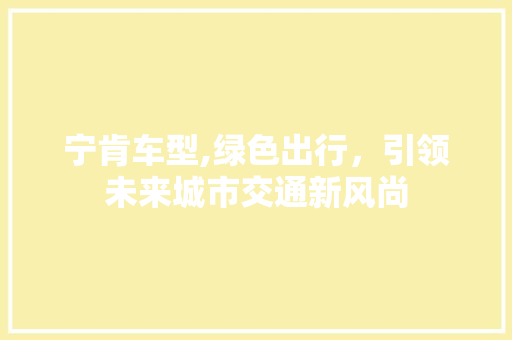 宁肯车型,绿色出行，引领未来城市交通新风尚