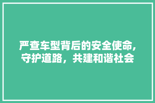 严查车型背后的安全使命,守护道路，共建和谐社会