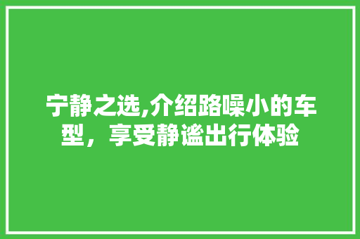 宁静之选,介绍路噪小的车型，享受静谧出行体验