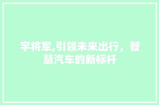 宇将军,引领未来出行，智慧汽车的新标杆