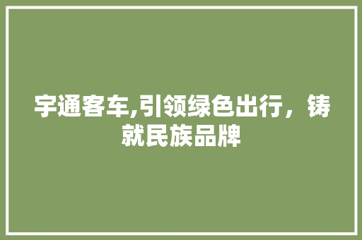 宇通客车,引领绿色出行，铸就民族品牌