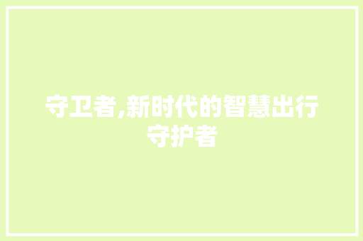 守卫者,新时代的智慧出行守护者