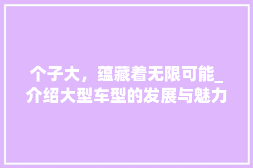 个子大，蕴藏着无限可能_介绍大型车型的发展与魅力