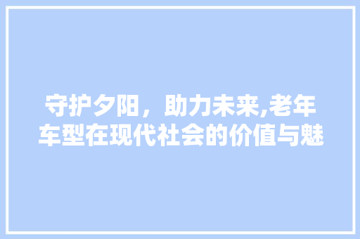 守护夕阳，助力未来,老年车型在现代社会的价值与魅力