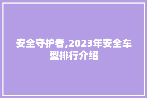 安全守护者,2023年安全车型排行介绍