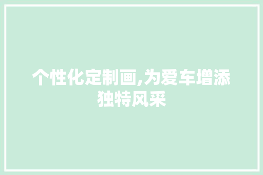 个性化定制画,为爱车增添独特风采