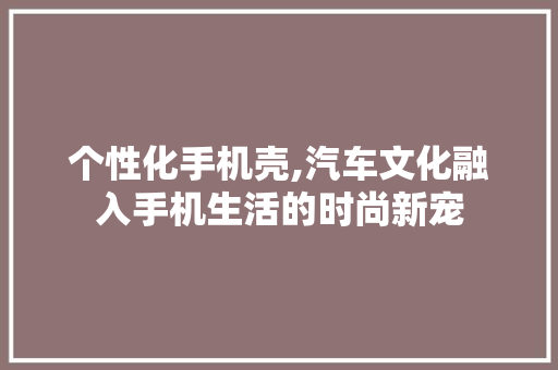 个性化手机壳,汽车文化融入手机生活的时尚新宠