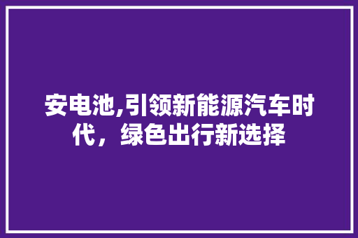 安电池,引领新能源汽车时代，绿色出行新选择