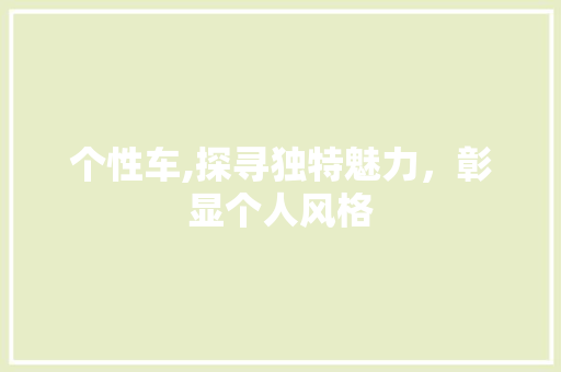 个性车,探寻独特魅力，彰显个人风格
