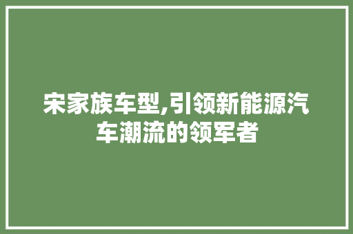 宋家族车型,引领新能源汽车潮流的领军者