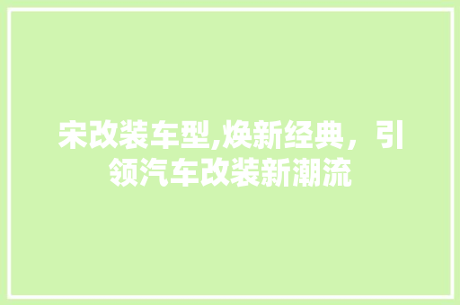 宋改装车型,焕新经典，引领汽车改装新潮流