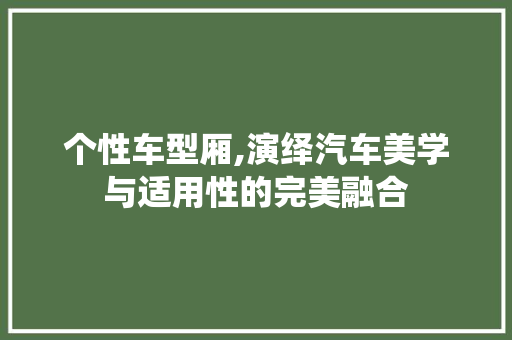 个性车型厢,演绎汽车美学与适用性的完美融合