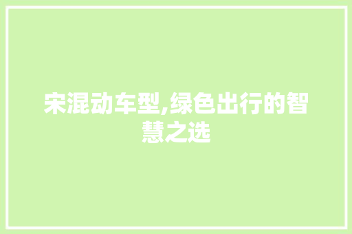 宋混动车型,绿色出行的智慧之选