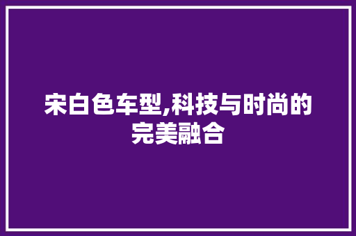 宋白色车型,科技与时尚的完美融合