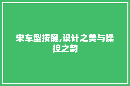 宋车型按键,设计之美与操控之韵