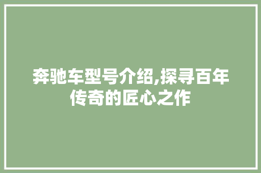 奔驰车型号介绍,探寻百年传奇的匠心之作
